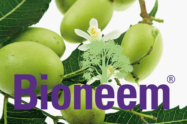Bioneem-Vliesbeutel